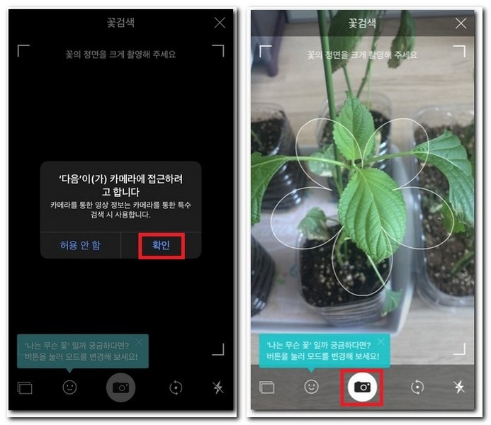 카메라에 꽃 촬영