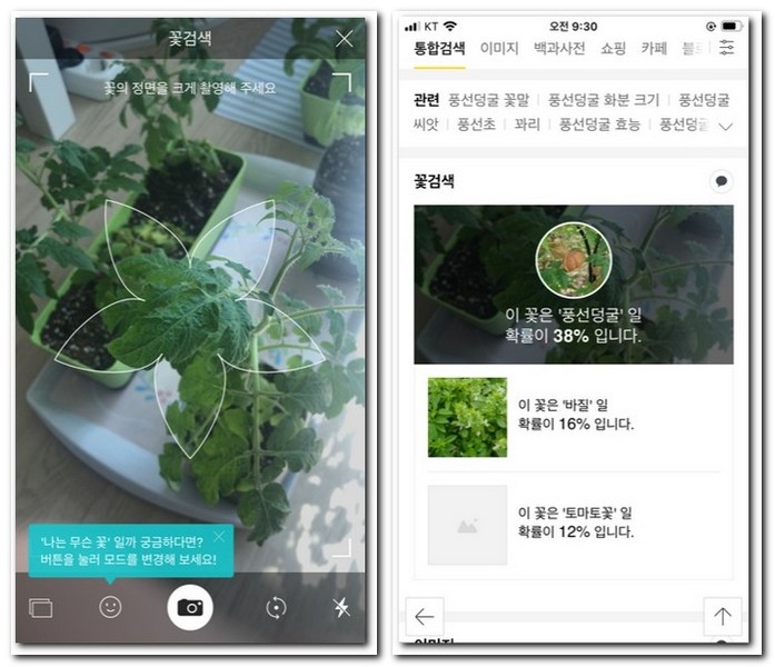 다시 한 번 더 사진으로 꽃 찾기