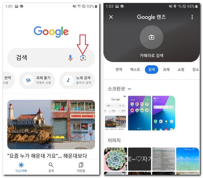 구글 앱으로 다육 식물 이름 찾기