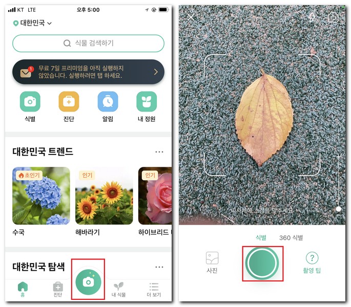 사진으로 나무잎 검색 찾기