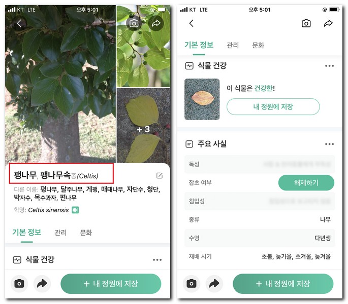 사진으로 나무잎 검색 찾기