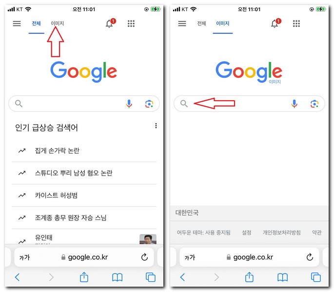 구글에서 꽃 사진 검색 하는 법