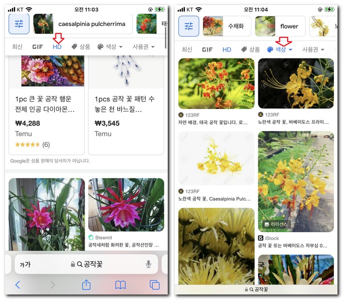 구글에서 꽃 사진 검색 하는 법