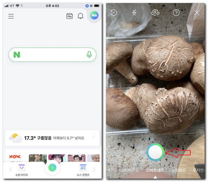 버섯 이름 알려주는 앱으로 찾기