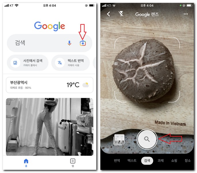 버섯 이름 알려주는 앱으로 찾기