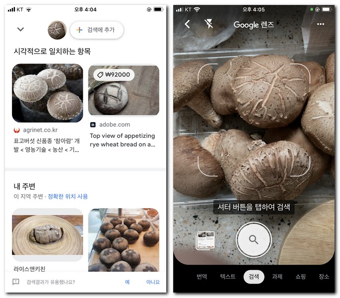 버섯 이름 알려주는 앱으로 찾기