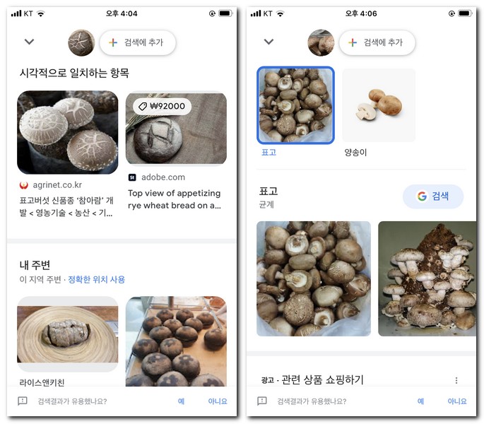 버섯 이름 알려주는 앱으로 찾기