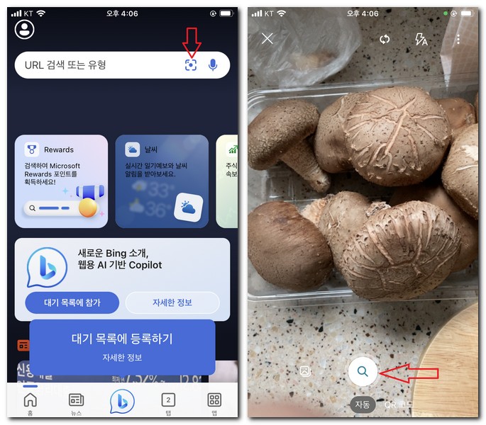 버섯 이름 알려주는 앱으로 찾기