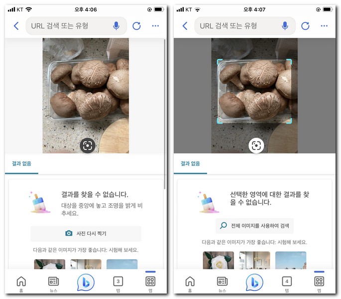 버섯 이름 알려주는 앱으로 찾기