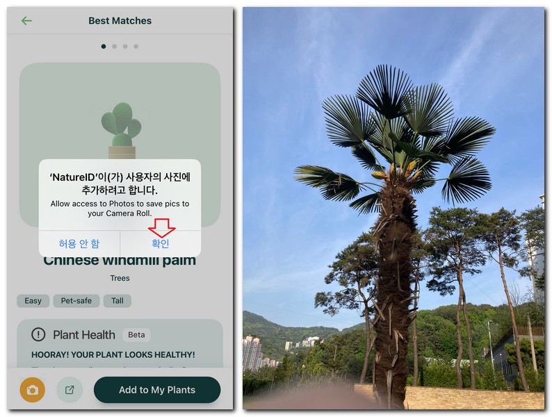사진으로 나무이름 찾아보자