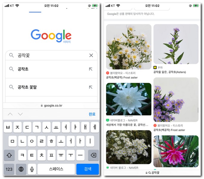 구글에서 꽃 사진 검색 하는 법