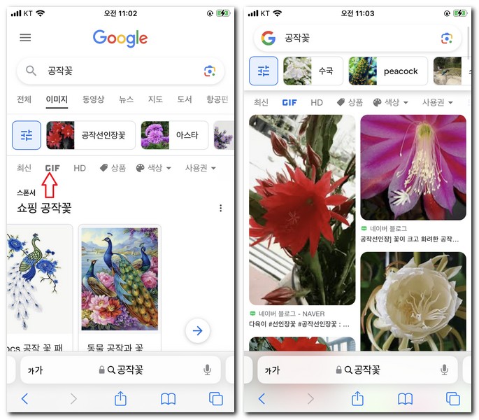 구글에서 꽃 사진 검색 하는 법